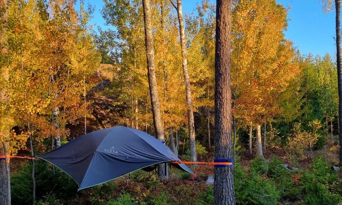 Kirkkonummi Other | Sydåbacka Tentsile-puumajoitus