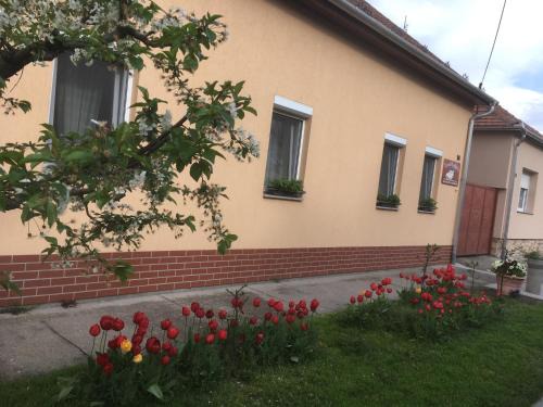 Morahalom Apartment | Szundivendégház