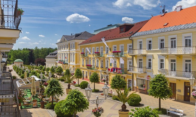 Frantiskovy Lazne Hotel | Tři Lilie