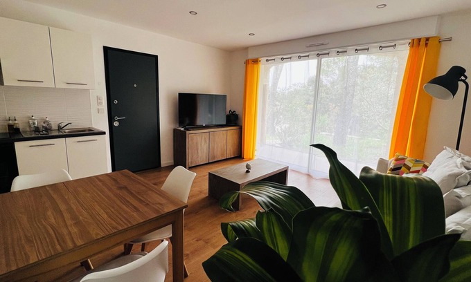 Saint-Clement-de-Riviere Apartment | T2 La Pascaline Avec Petit Jardin