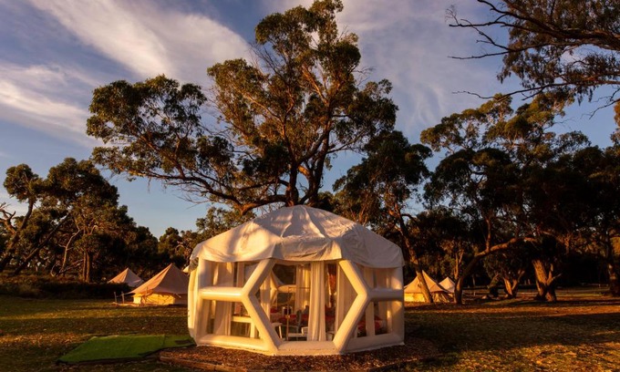 Comaum Other | Taj Mahal upgraded Hex bubble