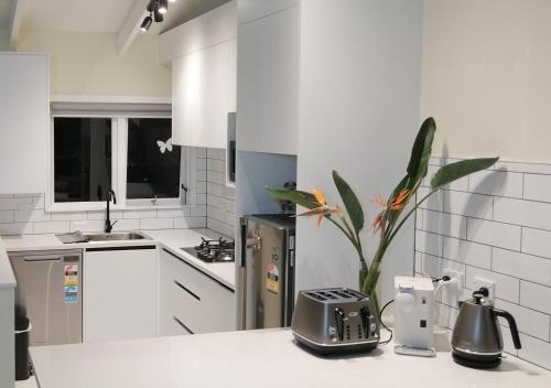Takapuna House | Takapuna Centre 3B plus Netflix