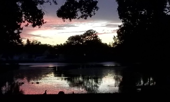 Carrollwood House | TAMPA VACATION HOME CLOSE TO EVERYTHING!