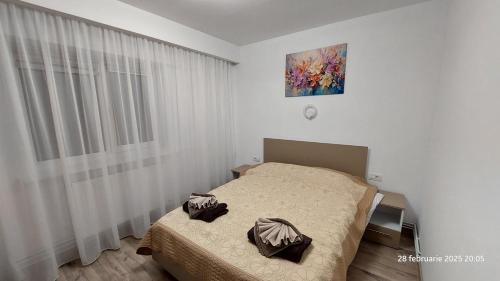 Tirgu Jiu Apartment | Targu Jiu Central Apartment - Free Parking & Self Check-In
