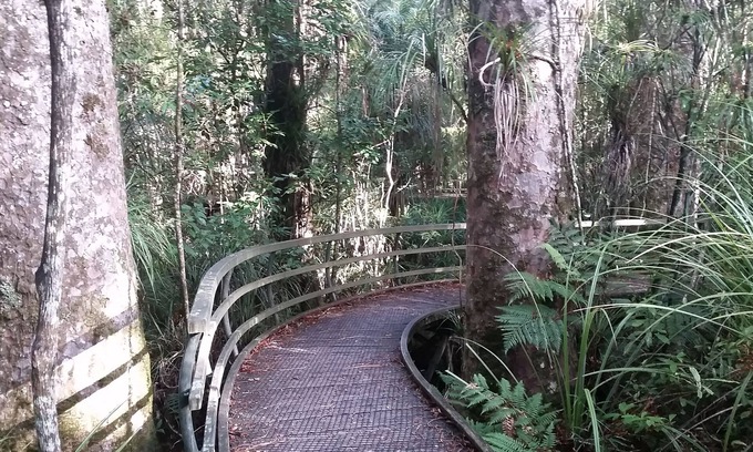 Paihia Cabin | Tarltons Lodge