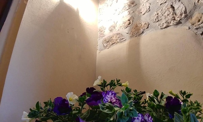 Alatri House | Tato- home