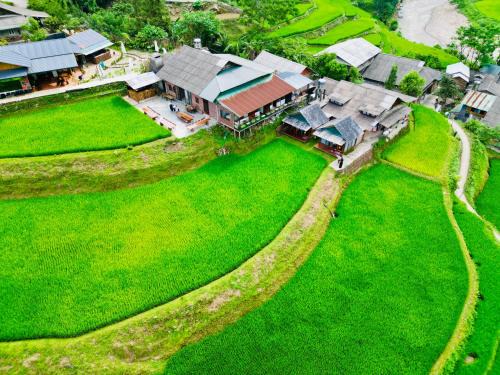 Sa Pa House | Tavan Paddy Field Homestay