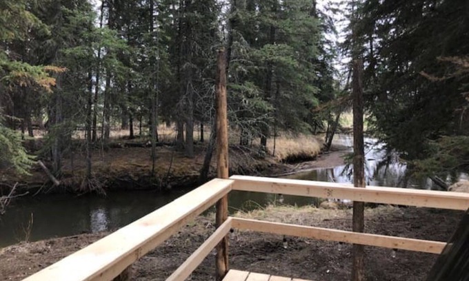 Clearwater County Cabin | Tay River Treehouse nestled on Tay River