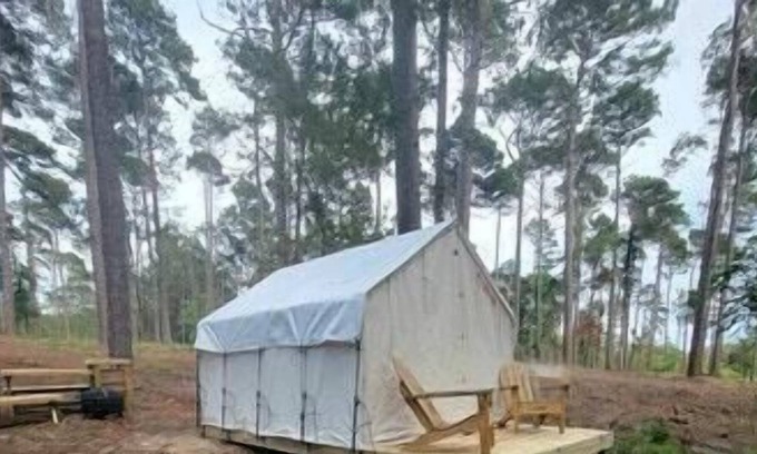 Zwolle RV Rental | Tentrr State Park Site - Louisiana North Toledo Bend State Park - Lakeview D - S