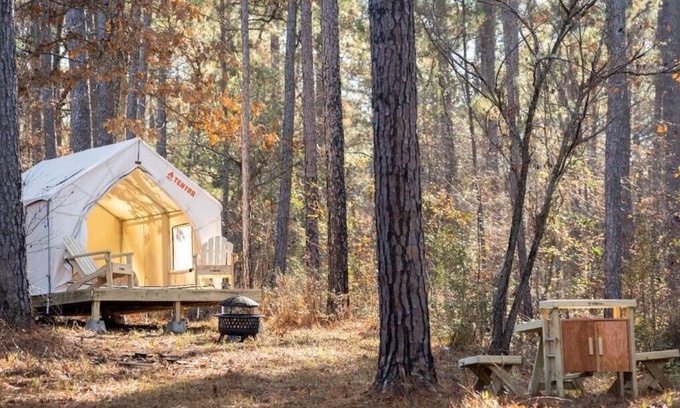 Quitman RV Rental | Tentrr State Park Site - Mississippi Clarkco State Park - Trailside E - Single C