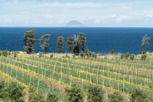 Province of Messina Villa | Tenuta Rasocolmo