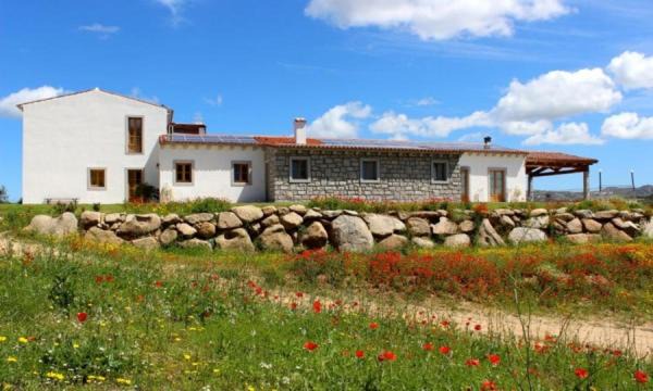 Luogosanto House | Tenute Testoni Agriturismo e B&B