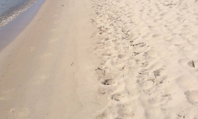 Alpena Cottage | Tequila Sunrise Beachfront Cottage on Lake Huron