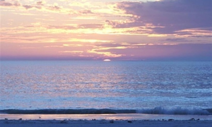 Redington Shores Condo | Tequila Sunset - Ground Floor Beachfront! January February Availability 2026!