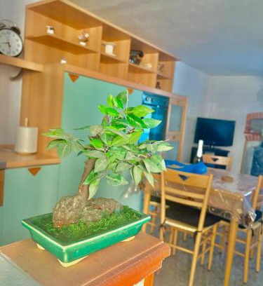 Pisticci House | Teresa's House