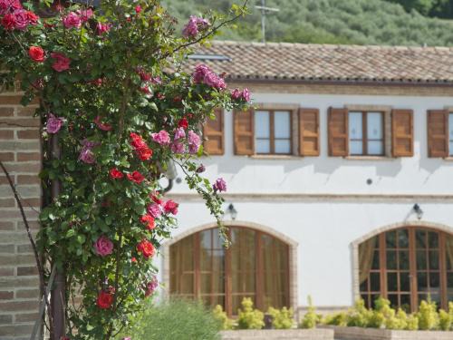 Recanati House | Terra Del Sole