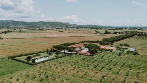 Ferretto House | Terra di Cortona