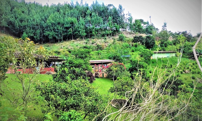 Filandia Cabin | Tesorito House en las Montañas del Quindío