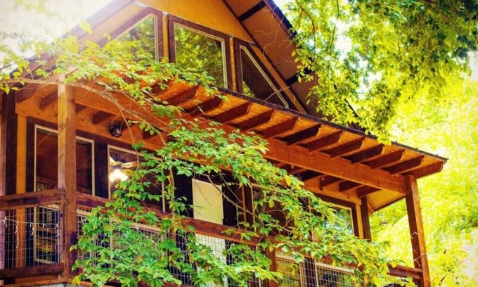 New Braunfels Cabin | TH 4 - Whippoorwill Haus
