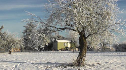 Broughton Hackett House | the abberton shepherds hut