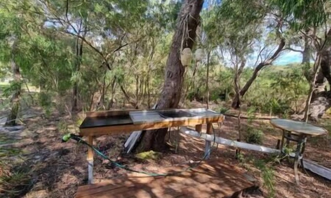 Peaceful Bay Apartment | The Beach House Peaceful Bay WA