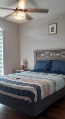 St. Petersburg - Clearwater Villa | The Blu door spot in st.pete