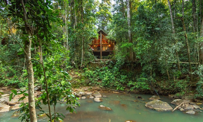 Tarzali Apartment | The Canopy Rainforest Treehouses and Wildlife Sanctuary