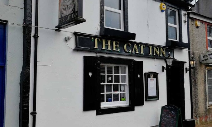 Egremont Apartment | The Cat Inn - Mountain View Apartment
