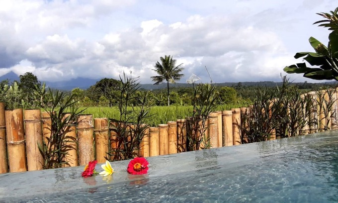 Banjartegehe Villa | The Champuhan Villa - Honeymoon Villa With Rice Field View