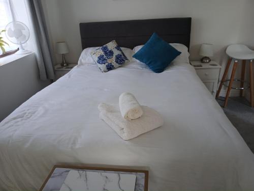Sandwich Apartment | The Coach Studio