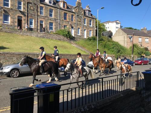 Galashiels Apartment | The Cosy Flat in Galashiels