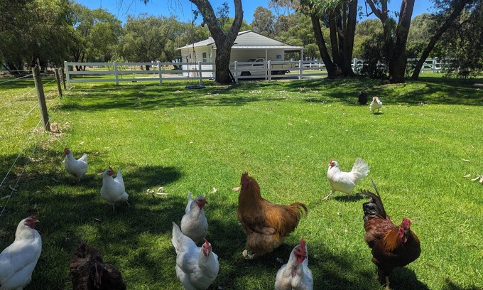 Gnangara Bed & Breakfast | The Cottage at Gnangara Park