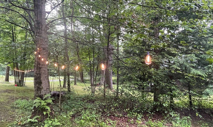 James City Cabin | The Den: a cozy, rustic cabin in Kane off the beaten path near prime ATV trails