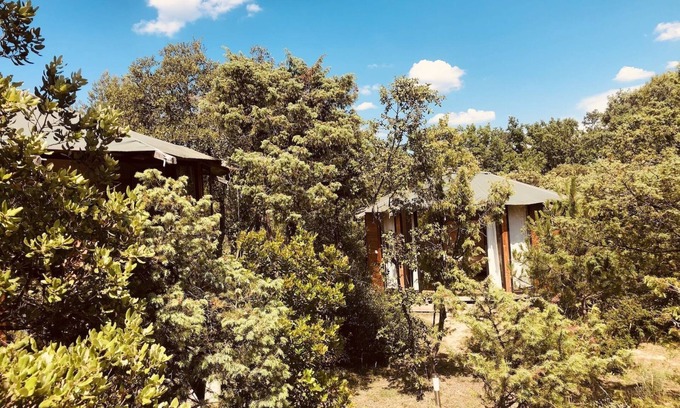 Monteils House | The Domaine des Sens in the heart of the Cévennes scrubland