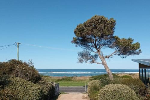 Scamander Apartment | The Dunes - King Studio - 50m from Scamander Beach