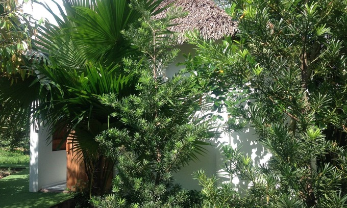 Cai Be Hotel | The Durian Lodge at Mekong