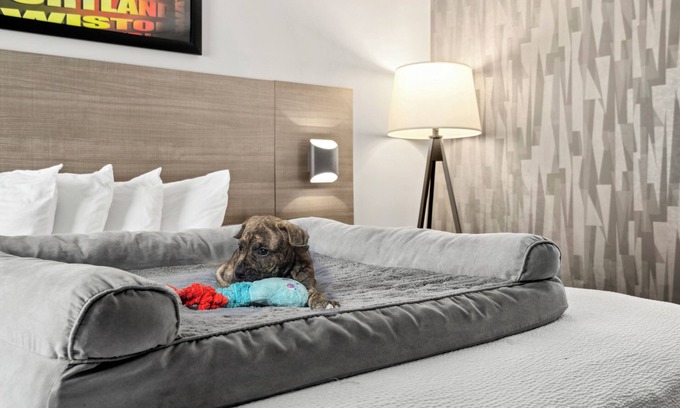 Waterville Hotel | The Elmwood