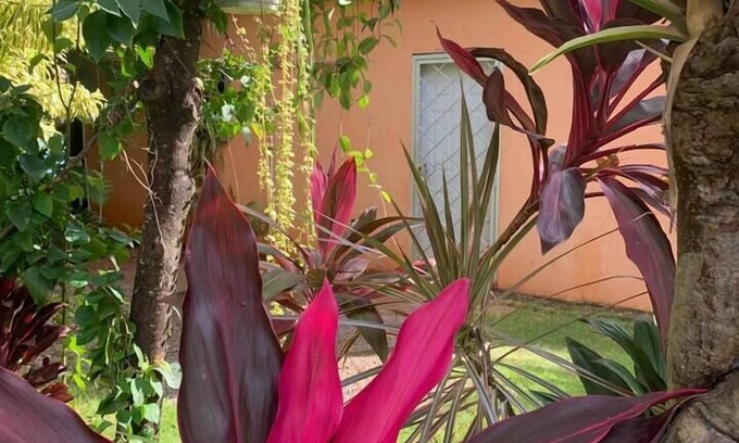 Las Galeras Apartment | The Garden House - Las Galeras