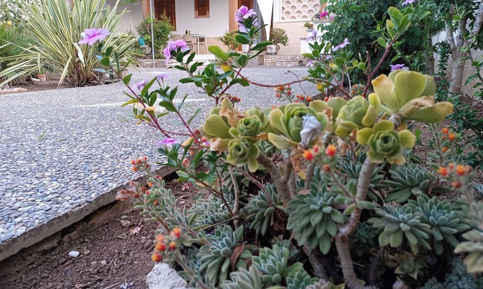 Torre dell'Orso Apartment | The garden of Sofia Charm and Comfort Apartment