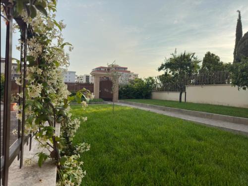 Manfredonia House | The Good Place