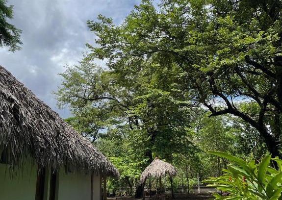 El Gigante Hotel | The Grand Mango Hotel