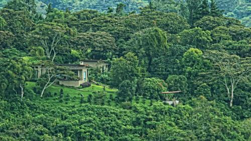 Boquete Bed & Breakfast | The Guest Suites at Manana Madera