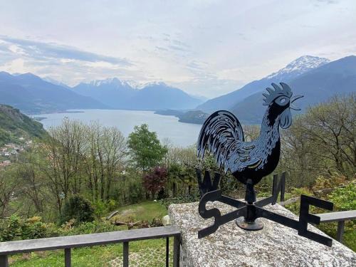 Calozzo Villa | The Happy Rooster - Villa with Big Garden