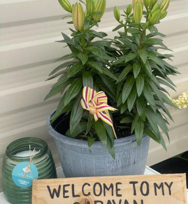 Seasalter Resort | The Hideaway Cabin