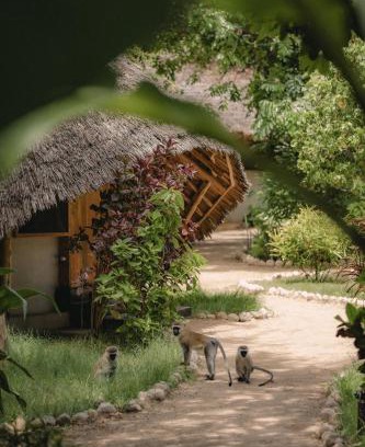 Mto wa Mbu Cabin | The Jungle Pearl Resort