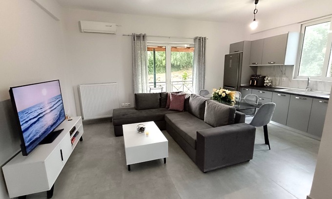 Vassilatika Apartment | The lake project