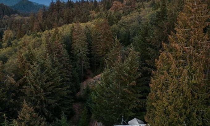 Bowen Island Cabin | the legendary Wildwood Cabins - Cabin 1