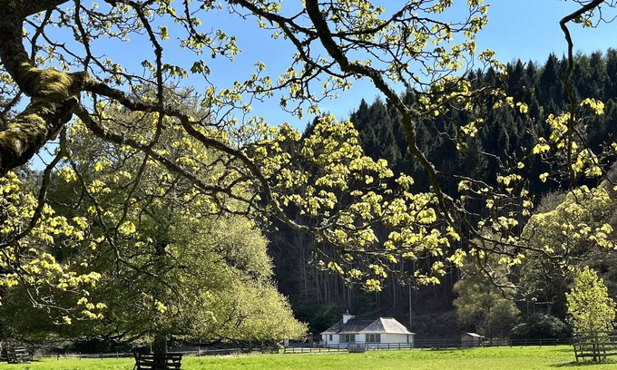 Galashiels Cabin | The Lodge at Yair