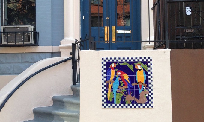 East Harlem House | The Macaw Guesthouse
