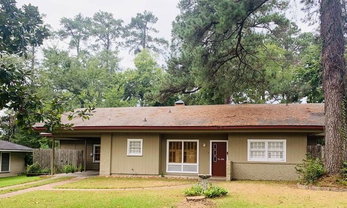 Lufkin House | The Martin Cottage! Located a block from St. Luke's- few minutes from downtown!